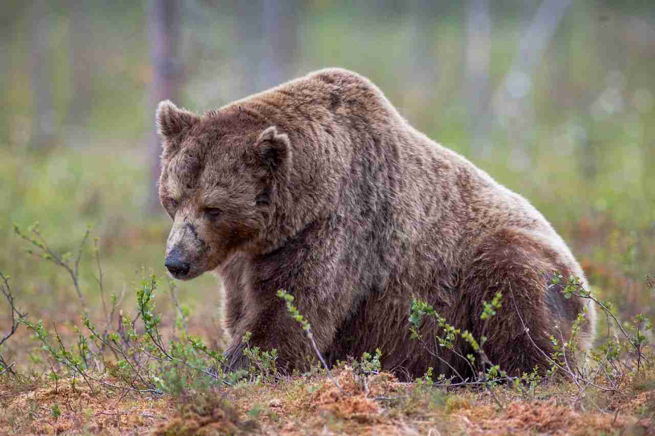 BTC、ETH与清算：加密市场瞬息万变